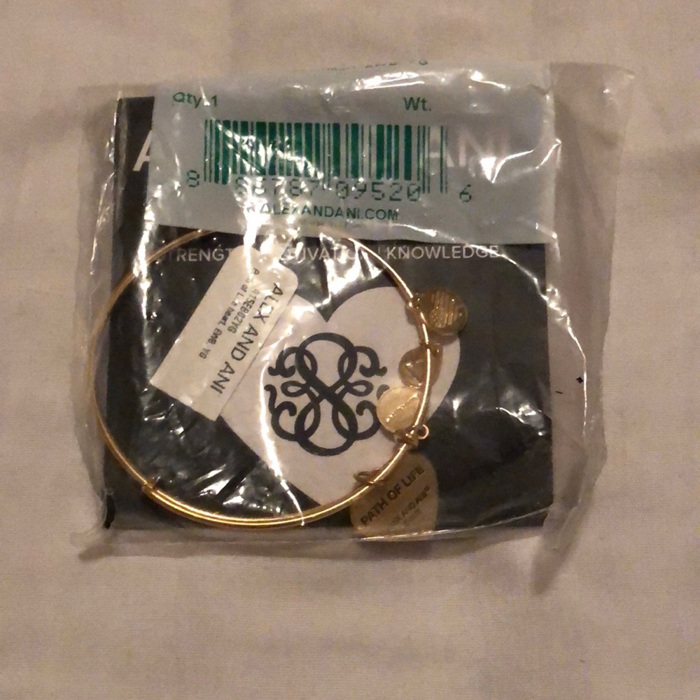 NWT Alex and Ani Path of Life Bracelet